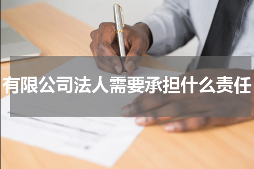 有限公司法人需要承担什么责任