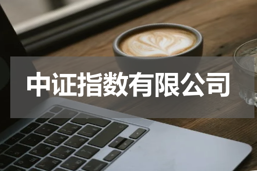 中证指数有限公司