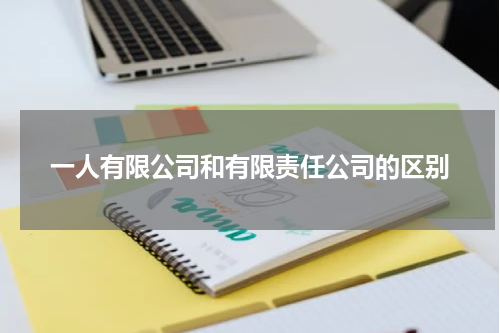 一人有限公司和有限责任公司的区别