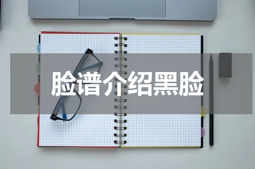 脸谱介绍黑脸
