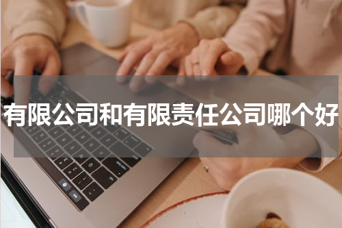 有限公司和有限责任公司哪个好
