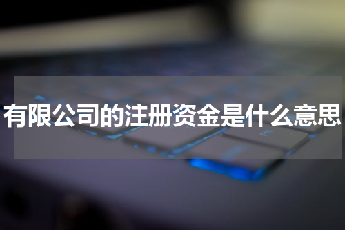 有限公司的注册资金是什么意思