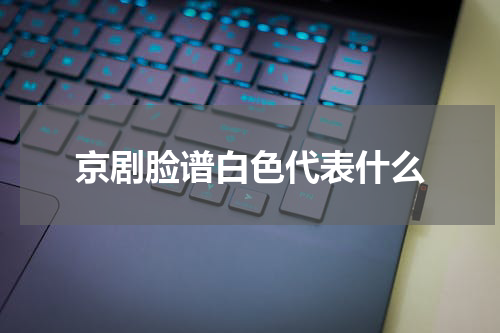 京剧脸谱白色代表什么