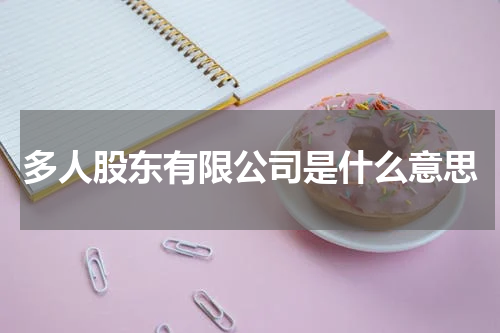 多人股东有限公司是什么意思