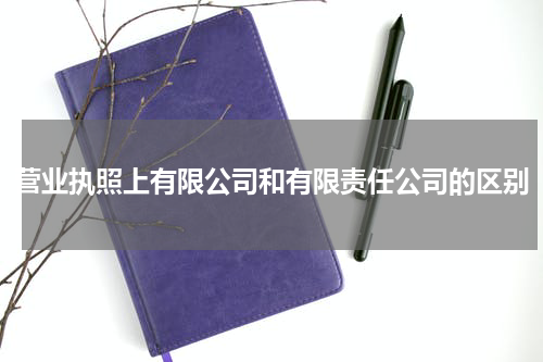 营业执照上有限公司和有限责任公司的区别