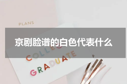 京剧脸谱的白色代表什么