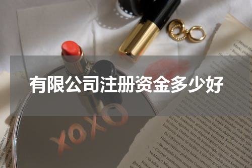 有限公司注册资金多少好