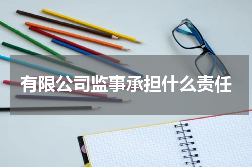 有限公司监事承担什么责任