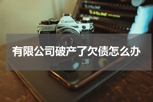 有限公司破产了欠债怎么办