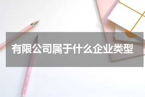 有限公司属于什么企业类型