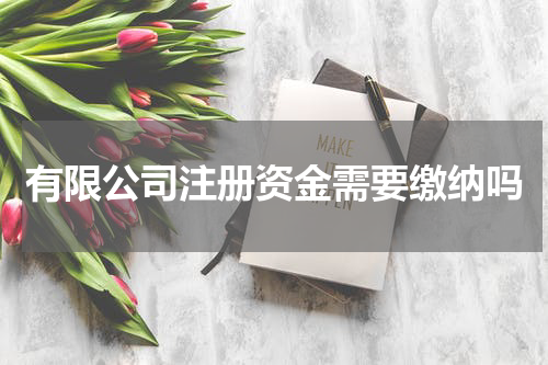 有限公司注册资金需要缴纳吗