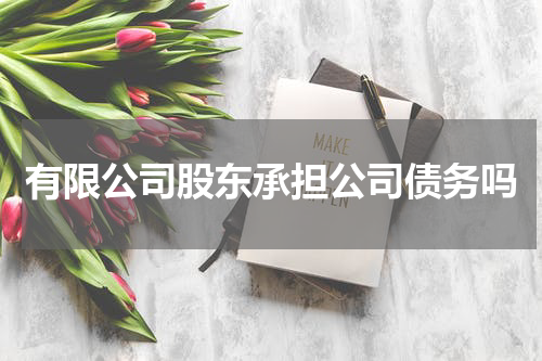 有限公司股东承担公司债务吗
