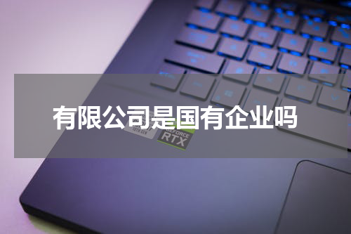 有限公司是国有企业吗