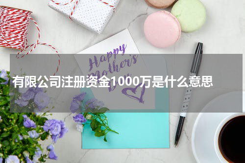 有限公司注册资金1000万是什么意思