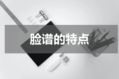 脸谱的特点