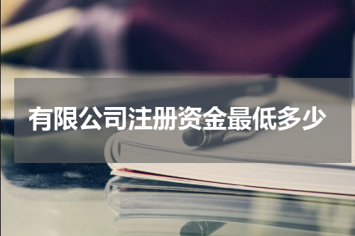有限公司注册资金最低多少