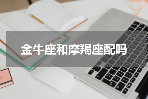 金牛座和摩羯座配吗