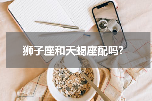 狮子座和天蝎座配吗?