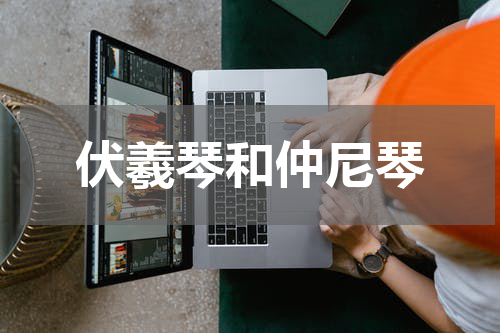 伏羲琴和仲尼琴