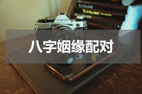 八字姻缘配对