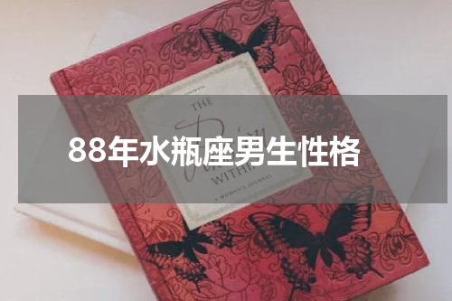 88年水瓶座男生性格
