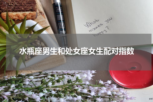 水瓶座男生和处女座女生配对指数