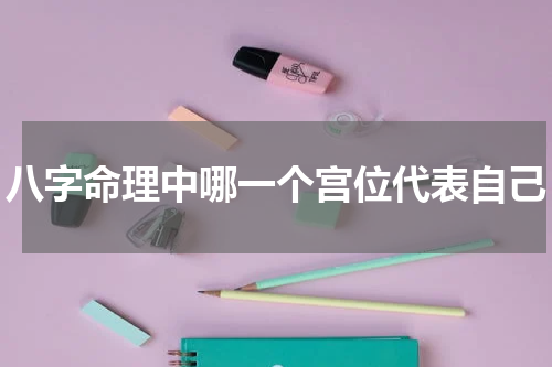 八字命理中哪一个宫位代表自己