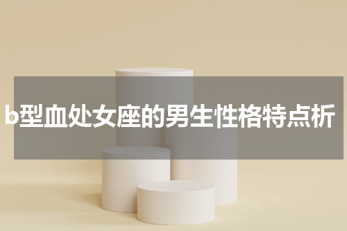 b型血处女座的男生性格特点析