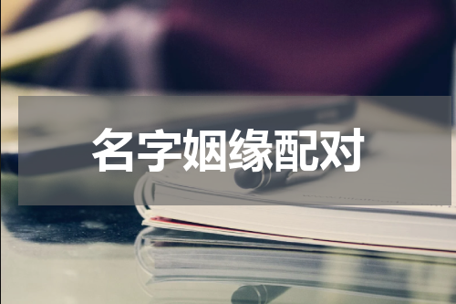名字姻缘配对