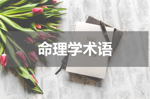 命理学术语