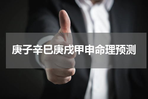 庚子辛巳庚戌甲申命理预测
