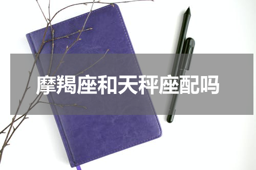 摩羯座和天秤座配吗
