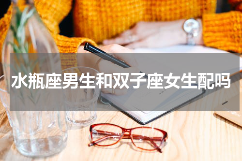 水瓶座男生和双子座女生配吗