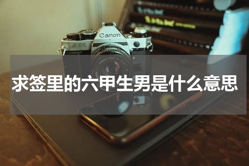求签里的六甲生男是什么意思