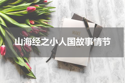 山海经之小人国故事情节
