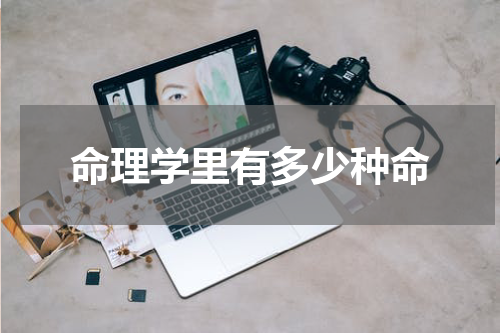 命理学里有多少种命