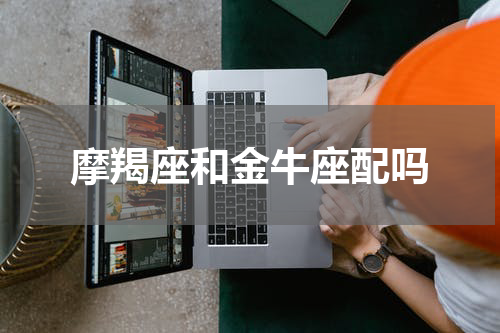 摩羯座和金牛座配吗