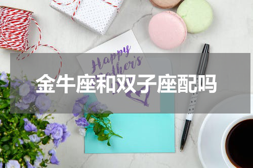 金牛座和双子座配吗