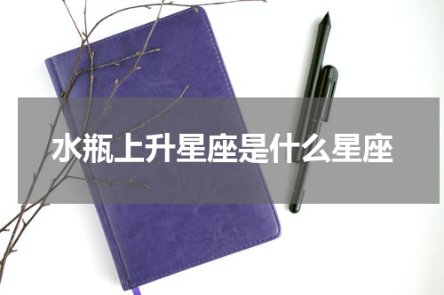 水瓶上升星座是什么星座