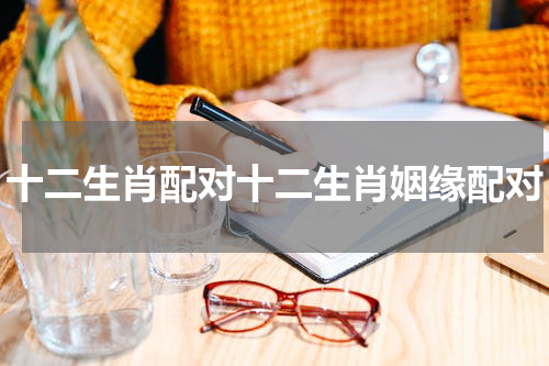 十二生肖配对十二生肖姻缘配对