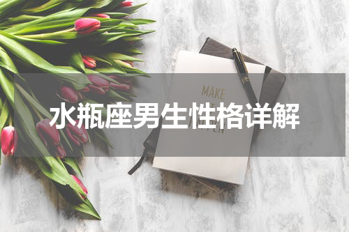 水瓶座男生性格详解