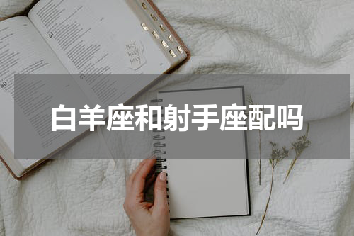 白羊座和射手座配吗