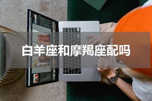 白羊座和摩羯座配吗