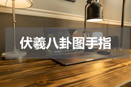 伏羲八卦图手指
