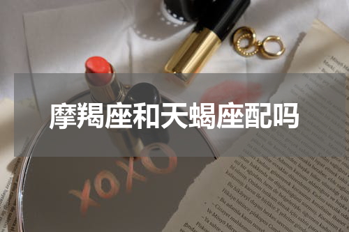 摩羯座和天蝎座配吗