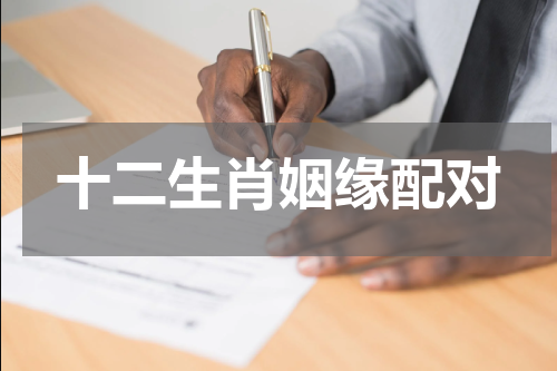 十二生肖姻缘配对