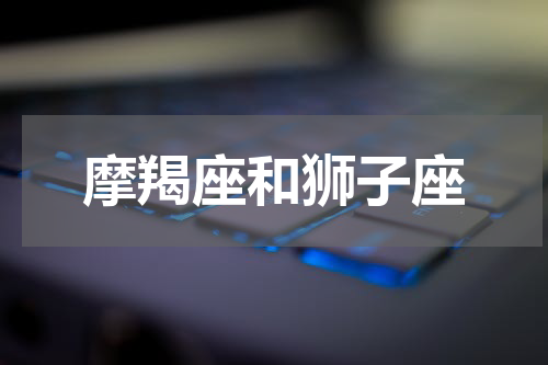 摩羯座和狮子座