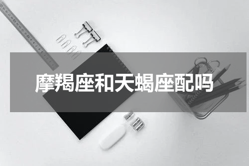 摩羯座和天蝎座配吗
