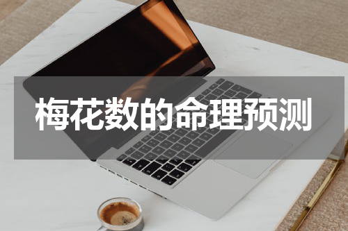 梅花数的命理预测