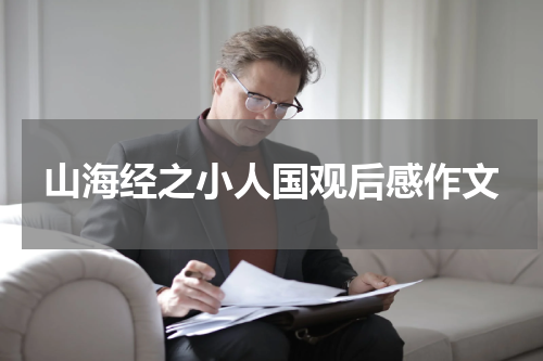 山海经之小人国观后感作文